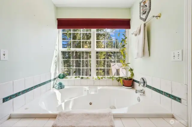 Jetted tub with gorgeous S facing views!