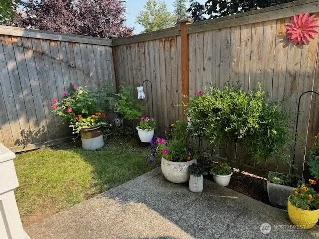 Back Yard Patio Area.