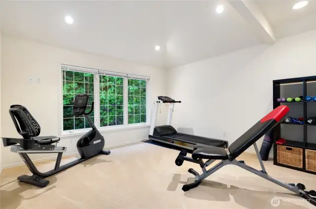 Spacious bonus room with vaulted ceilings and large windows. Perfect as a home gym, playroom, or private retreat—flexible to fit your lifestyle.