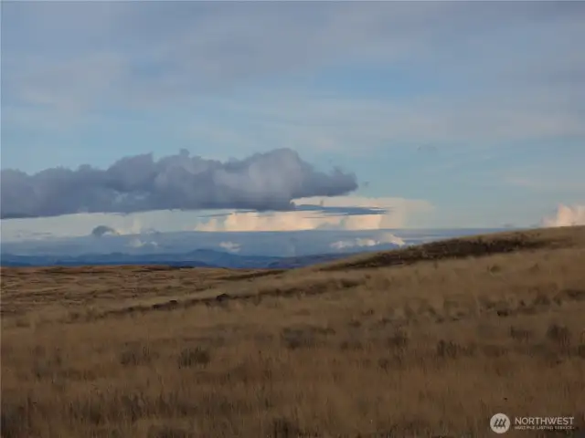 Montana-like skies