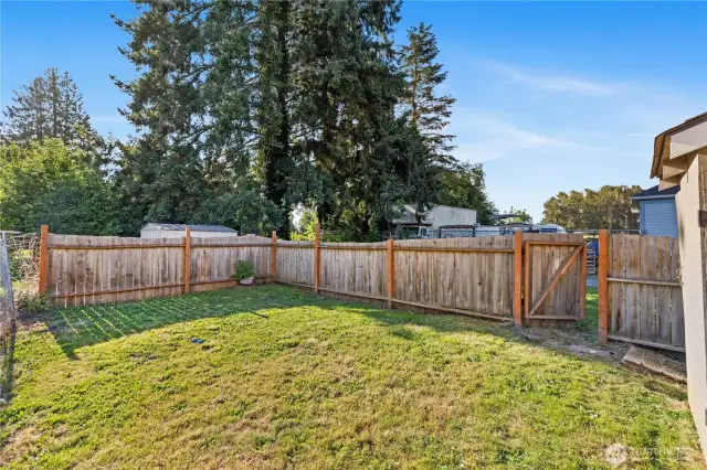 View from SW corner of yard looking NE