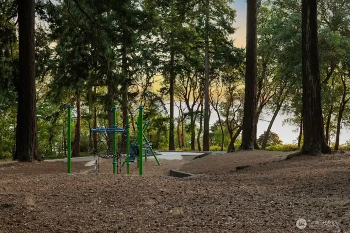 Playground at Lincoln Park