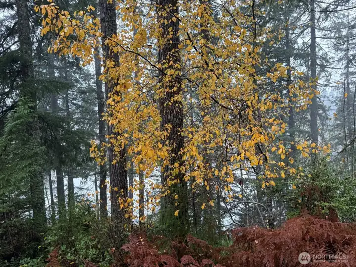 With a little landscaping, the view will be fantastic!