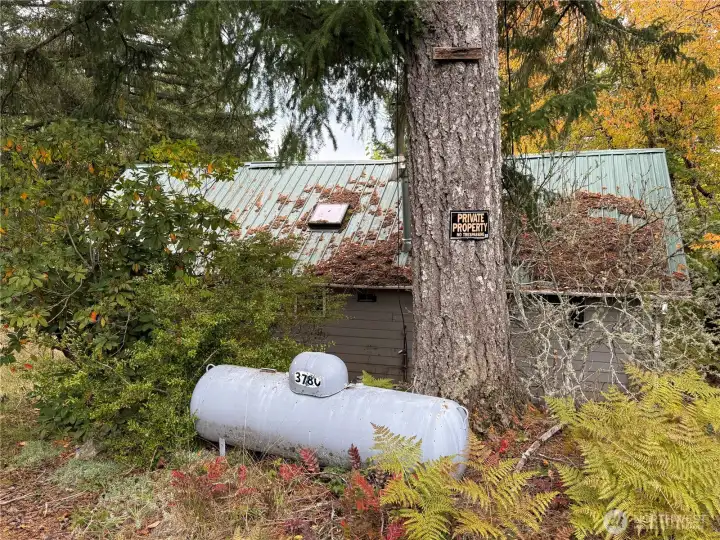 Propane tank from the fifties...  probably should be replaced.
