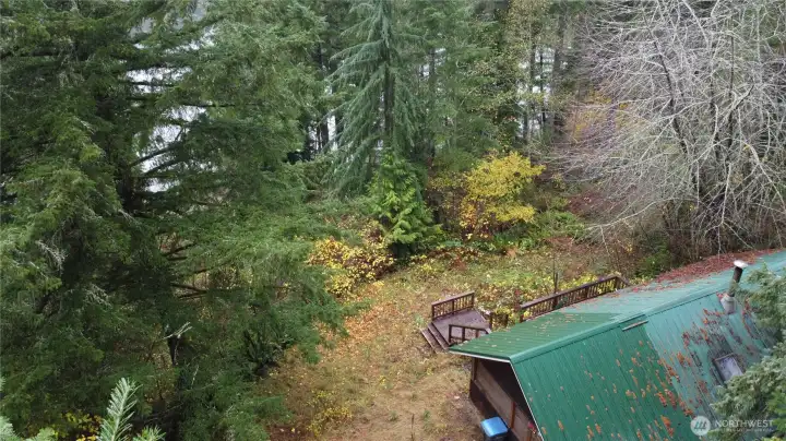 Limb up some of the trees, and the views will be colorful every night!