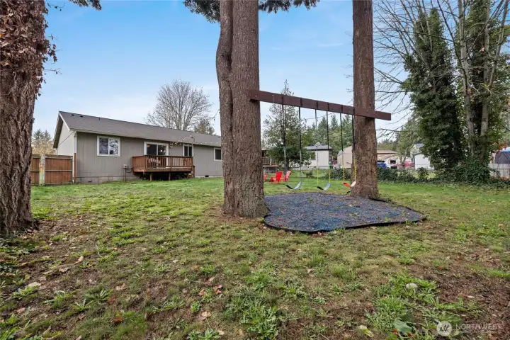 Trees accentuate the lot, and keep the party "swinging."