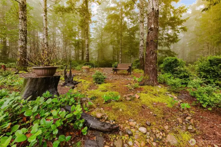 Front Yard - Lush regional landscaping