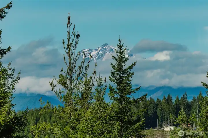 Slightly zoomed in view