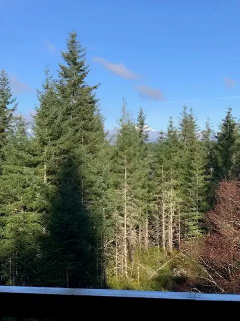 View of the Olympic Mountains
