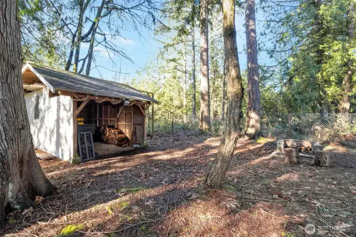 Wood shed in backyard with a firepit