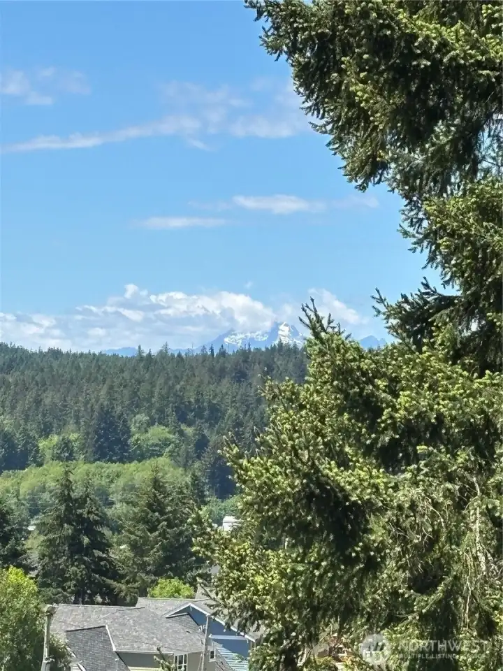 Olympic Mountains!