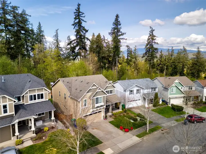 Lovely neighborhood of well kept homes