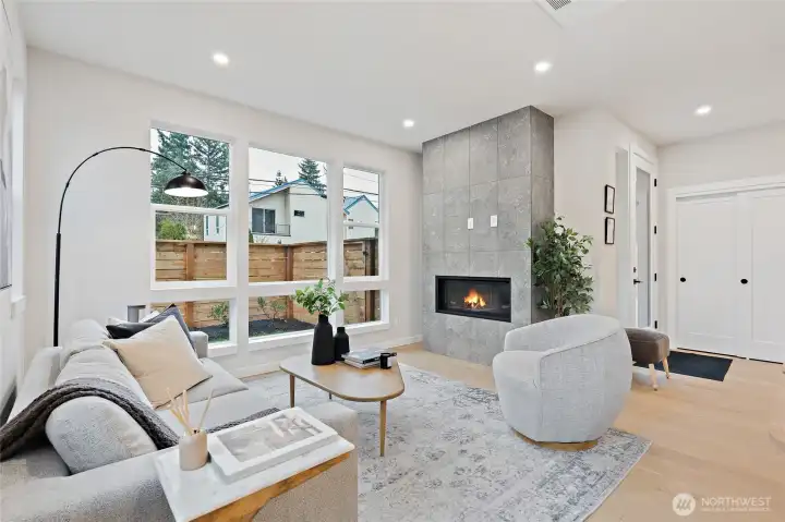 Gas fireplace