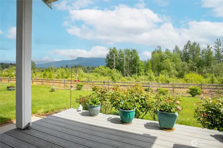 The view from the covered back porch.Not a home in sight. This is facing to the east.