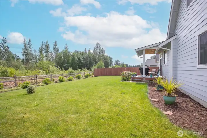 This back yard backs up to a nature conservation area.