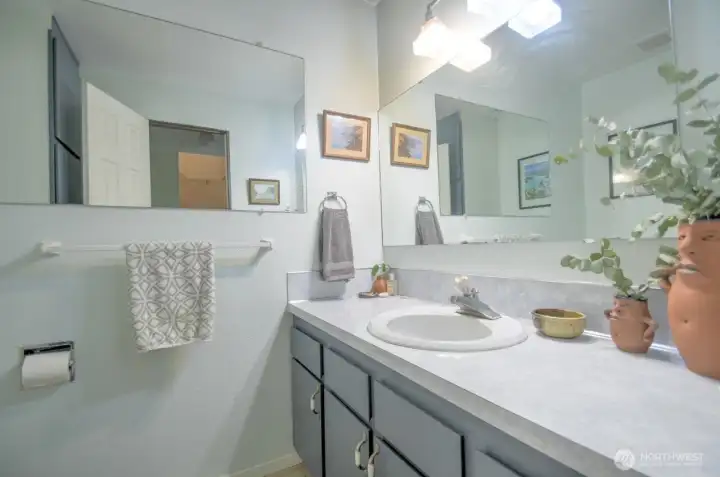 Large half bath with lots of storage