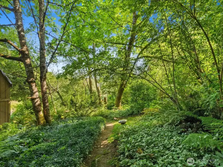 Whimsical trails and pathways