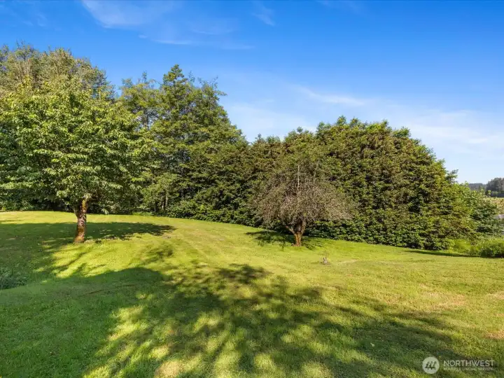Approx. 2-acres of open space