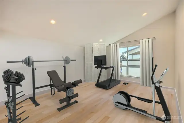 Home Gym option for flex room