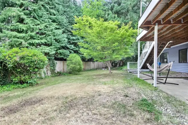 Backyard gets good sun but just needs a bit of your TLC to bring her back to lush life!