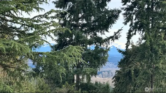 Mt Rainier peeking through your neighbor's trees (to the south). Maybe offer to thin / harvest a couple of trees to frame a picturesque view?