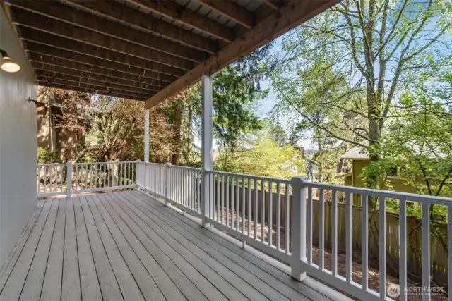 2nd deck off lower level