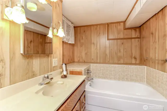 Lower Level Bathroom