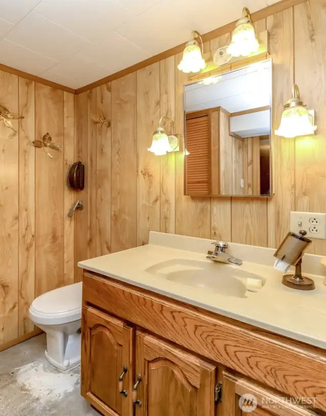 Lower Level Bathroom