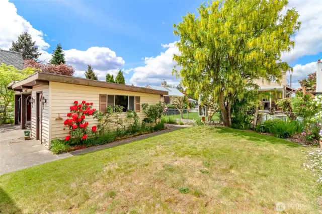 Large backyard, great for gardening