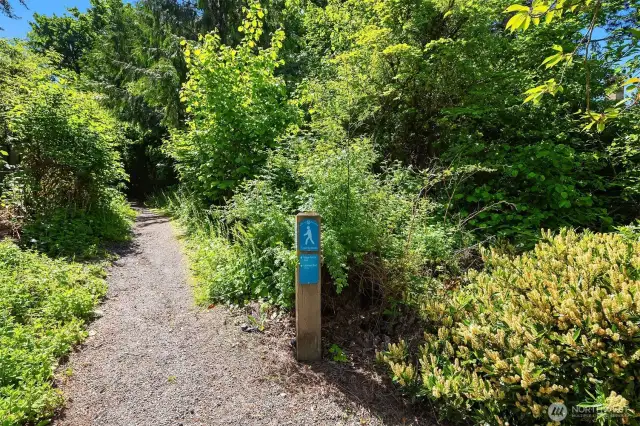 There's over four miles of trails in Lakemont, and this trailhead behind the house takes you up to Lewis Creek Park, or down to Village Park Dr.