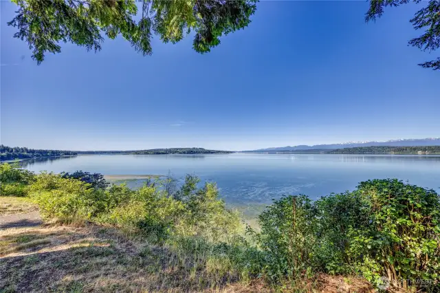 Looking south from the property towards Port Gamble.