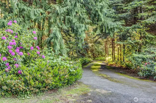 The pretty driveway through the trees to the private home.