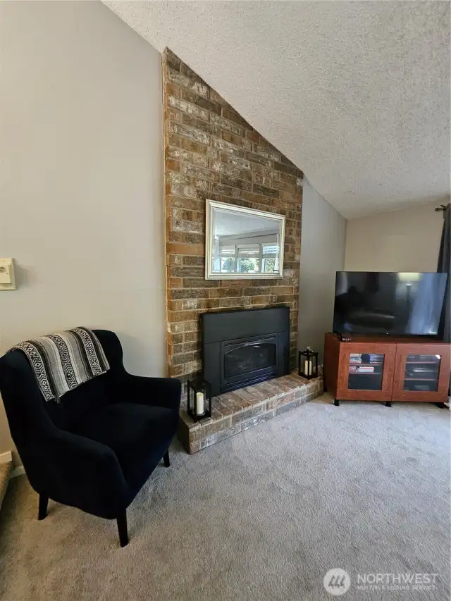 Gas Powered Fireplace Insert