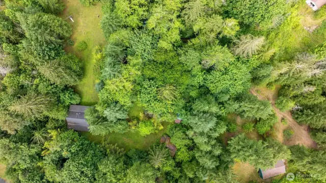 House bottom left corner, Pole building bottom right with the driveway