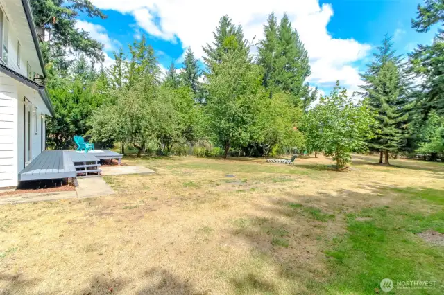 This Large backyard is fully fenced!