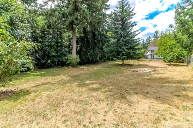Another view of backyard!