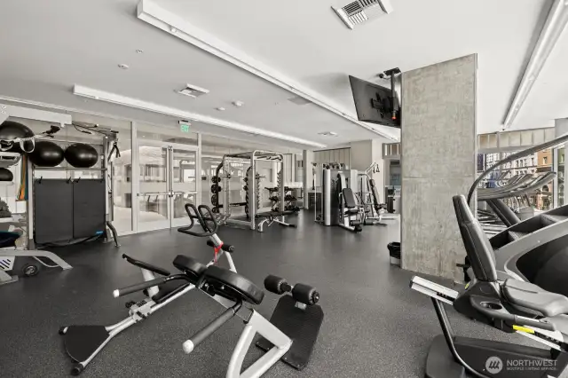 All the equipment you need without a gym membership!