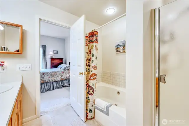 Primary bathroom shower and soaker tub