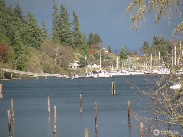Port Ludlow Marina.
