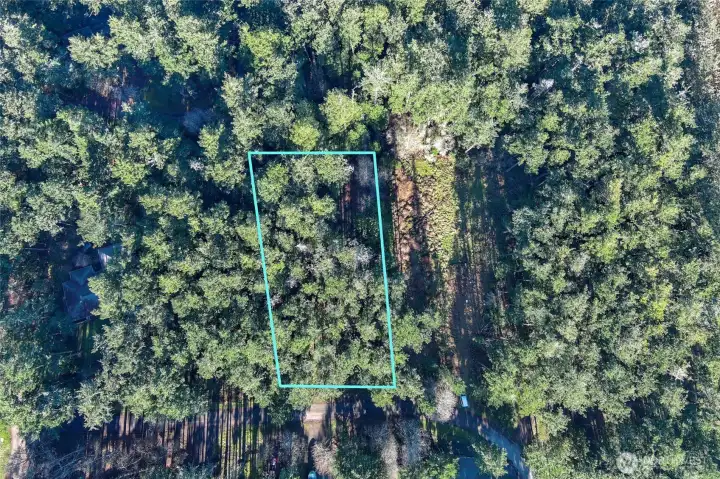 Aerial showcasing approximate lot lines, for this scenic Cape San Juan property on San Juan Island.