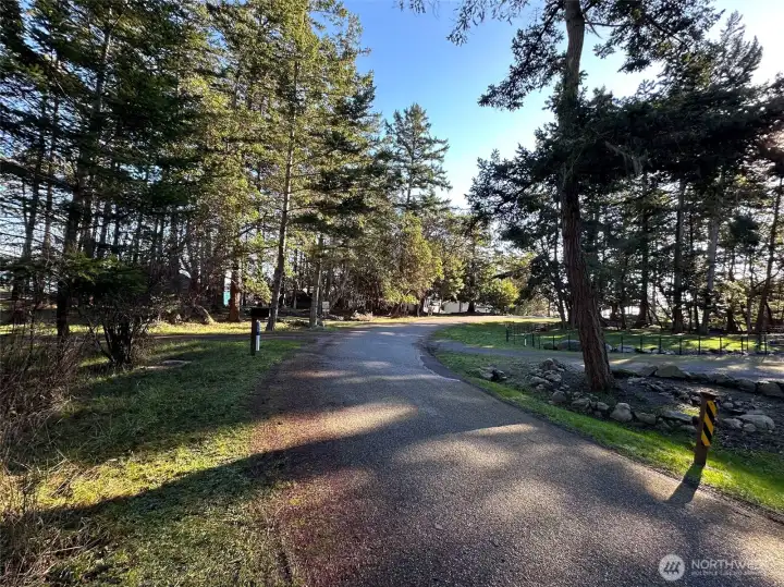 Peaceful island roadway leading toward community amenities including waterfront access, marina, and recreational opportunities.