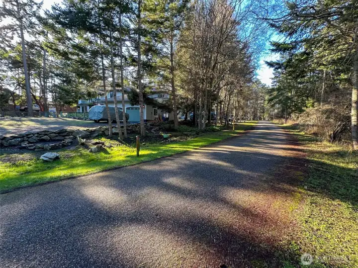 Charming neighborhood roadway framed by mature evergreens, highlighting the quiet residential character and easy access throughout Cape San Juan.