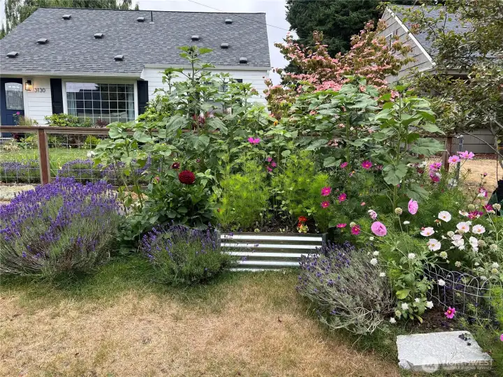 A gardener's dream with an established garden.