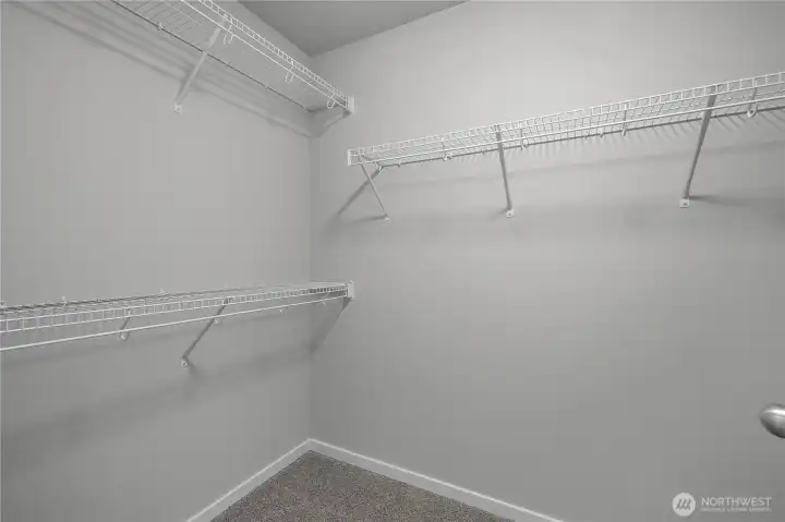 Large walk-in closet with ample hanging and storage space.