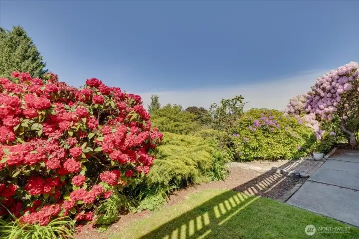 beautiful flowers blooming throughout property