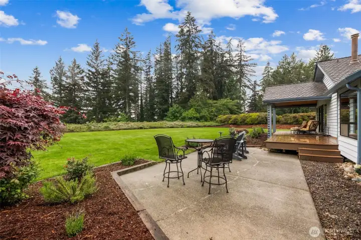 From here you can see the view of the trees from your future patio! From here you can see the view of the trees from your future patio!