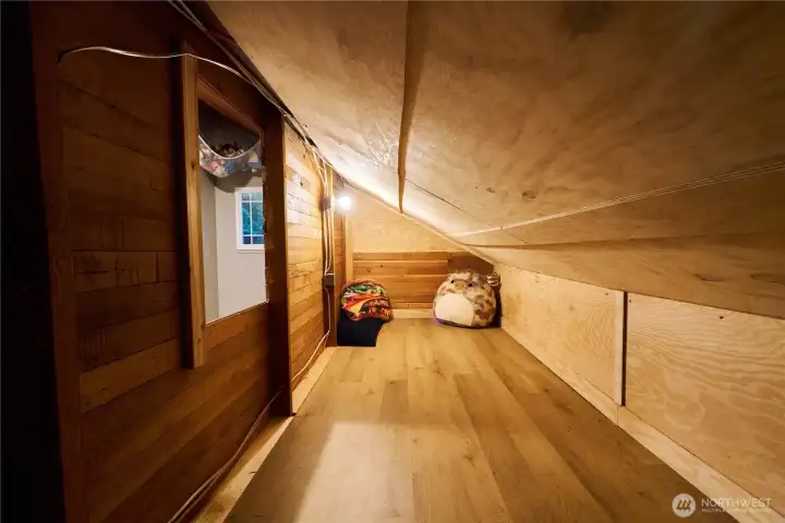Here's the secret room, it's used as a clubhouse. Here's the secret room, it's used as a clubhouse.