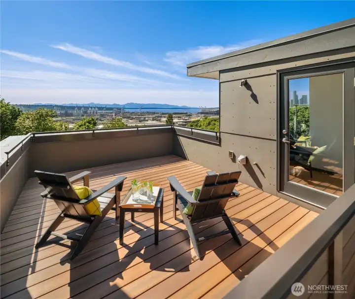 If the entry courtyard and main floor deck weren't enough, you also get this re-built roof deck, ideal for sun-drenched container gardening.