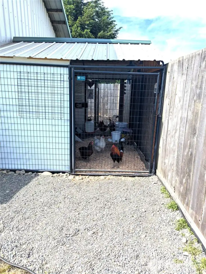 Chicken Coop