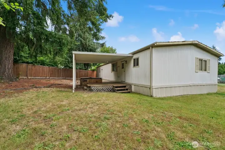 Backyard